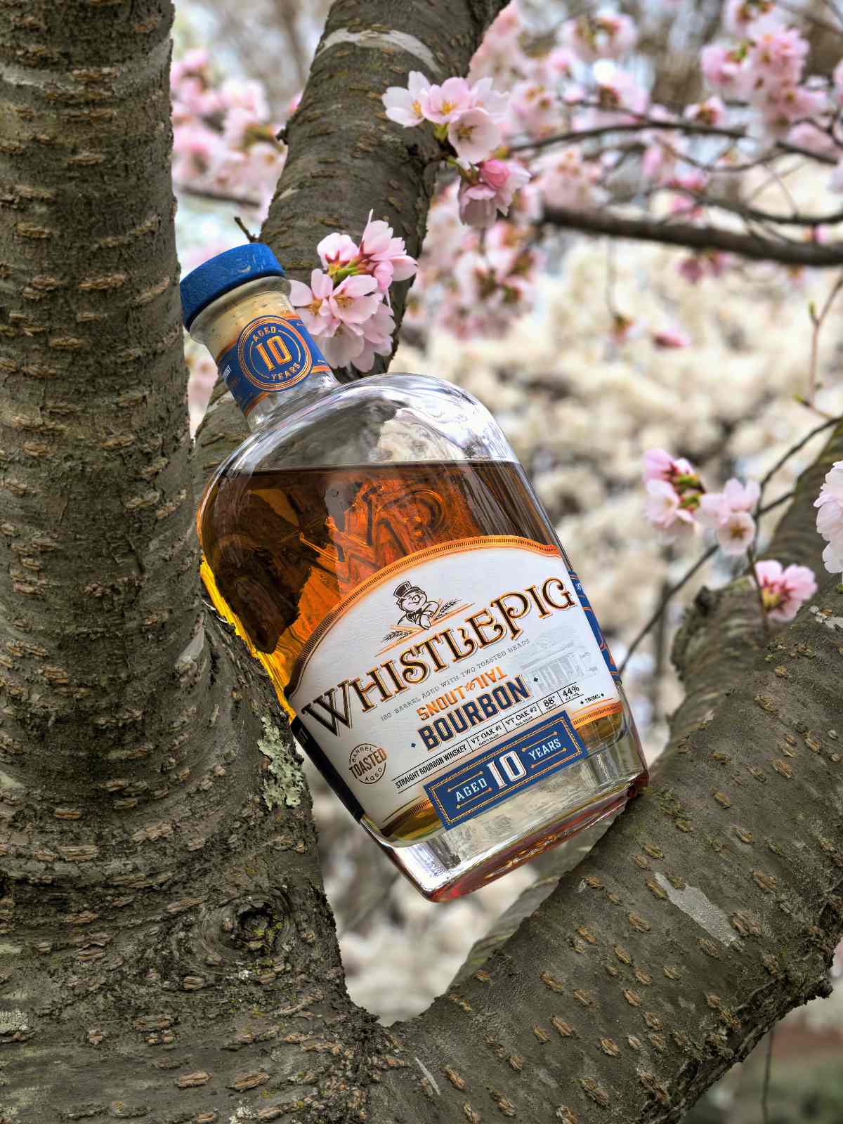 WhistlePig 10 Year Bourbon 30 whistlepig 10 year bourbon featured
