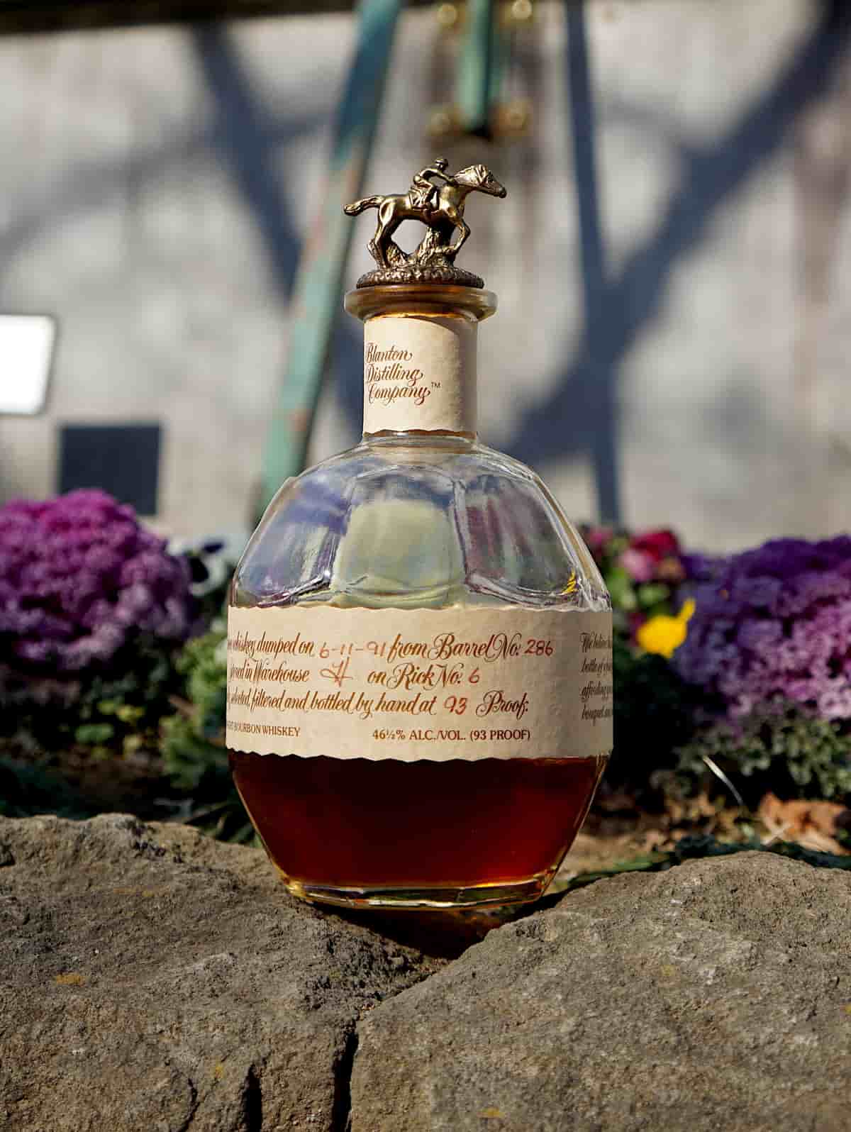 Blanton’s 1991 review cover image