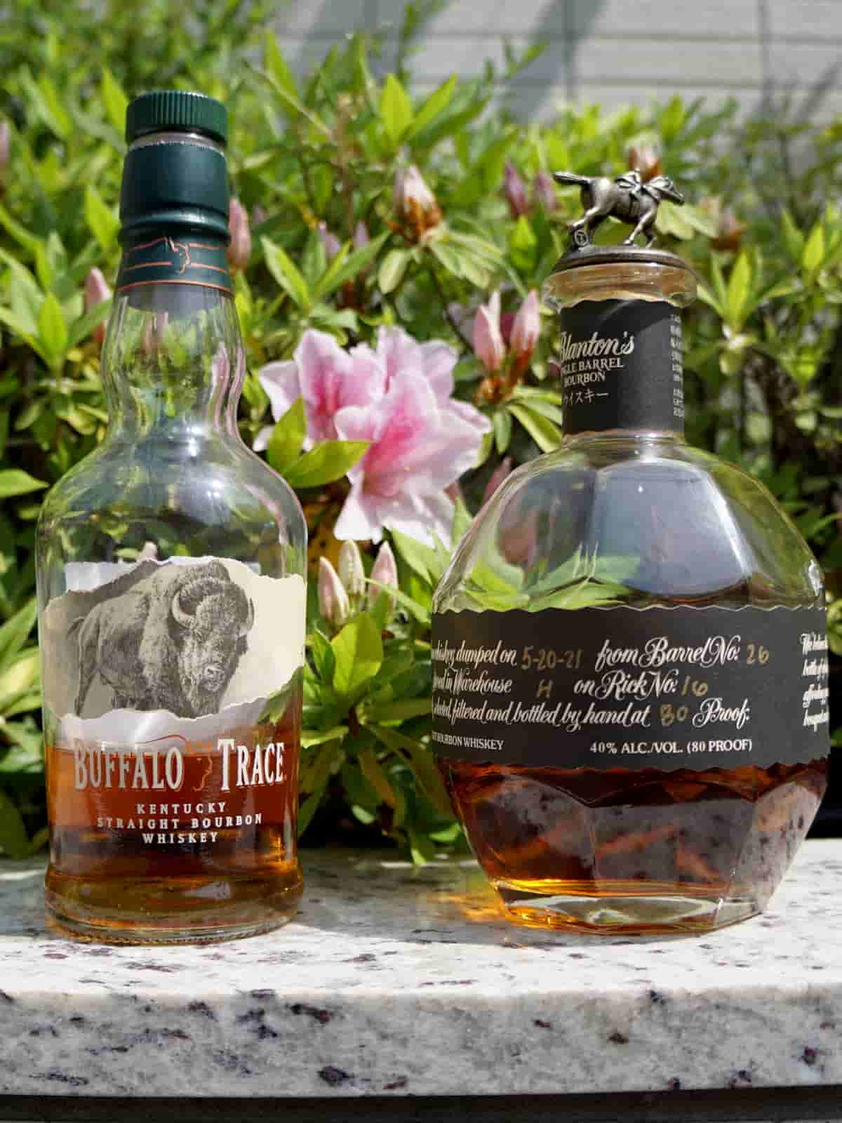 buffalo trace vs blanton’s black featured image 2