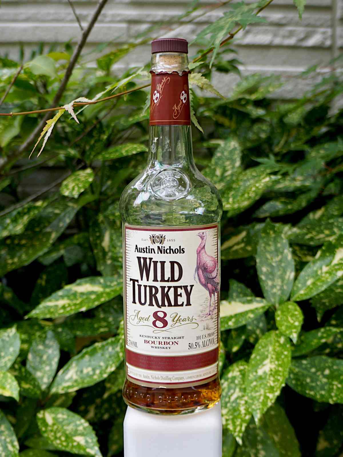 wild turkey 8 year 2010 featured