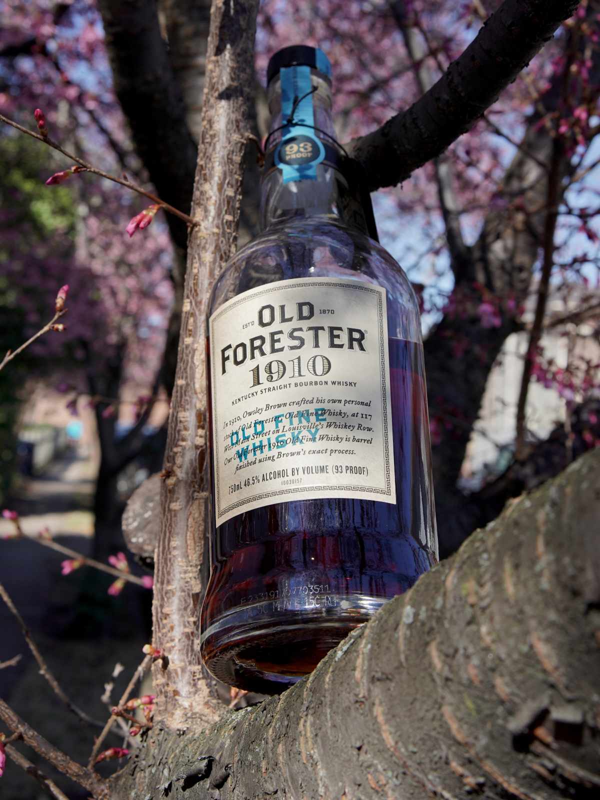 Old Forester 1910 featured
