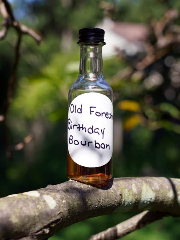 old forester birthday bourbon 2023 sample