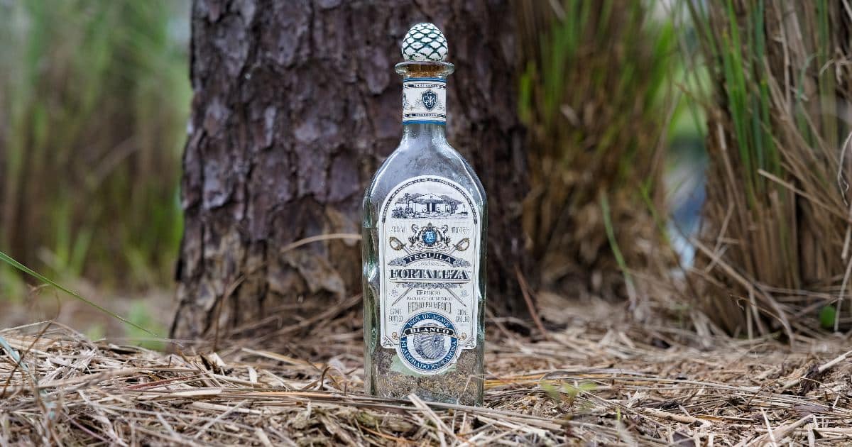 Fortaleza Blanco Tequila Review [In Depth] The Whiskey Shelf