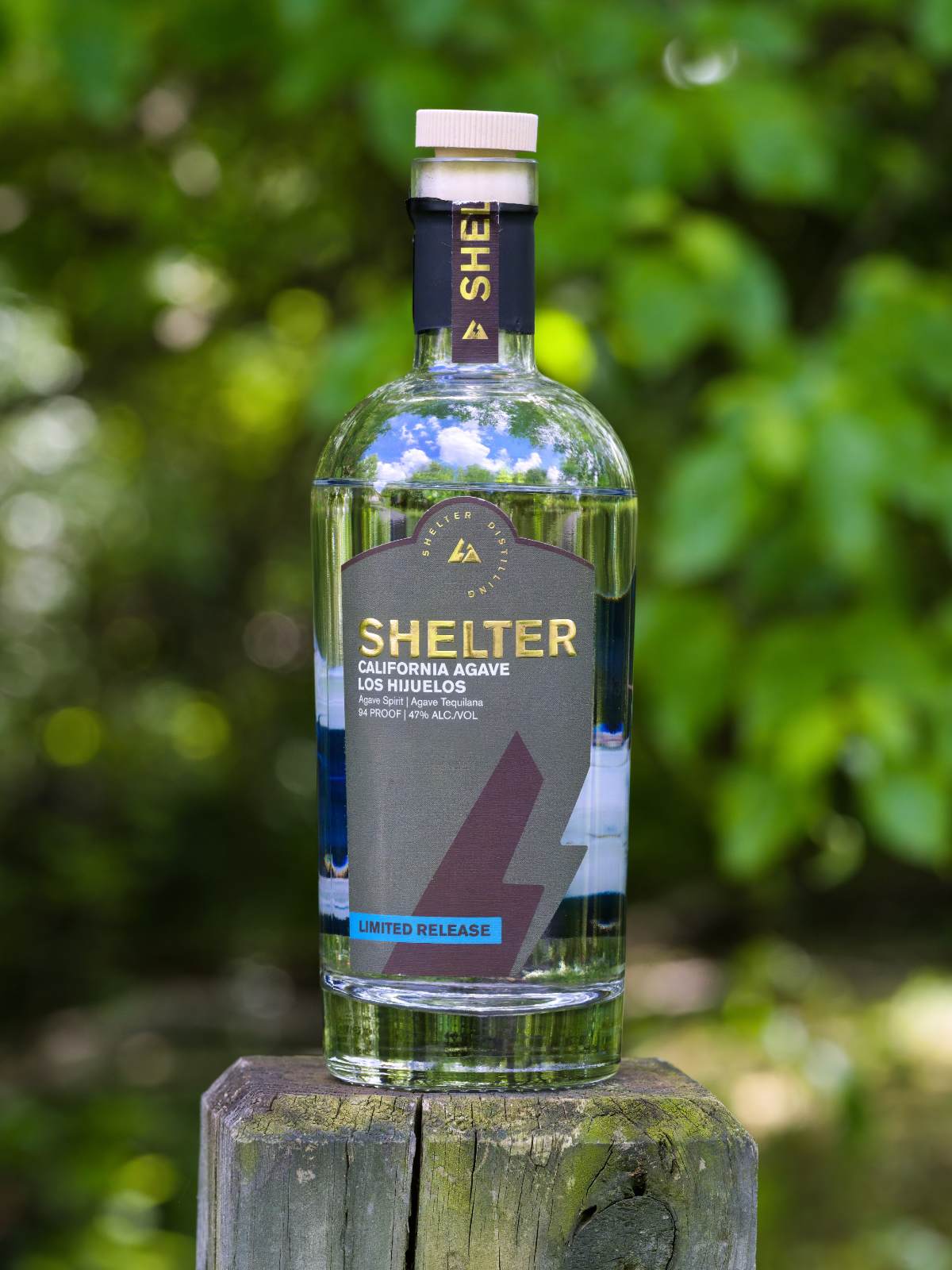 shelter los hijuelos california agave featured