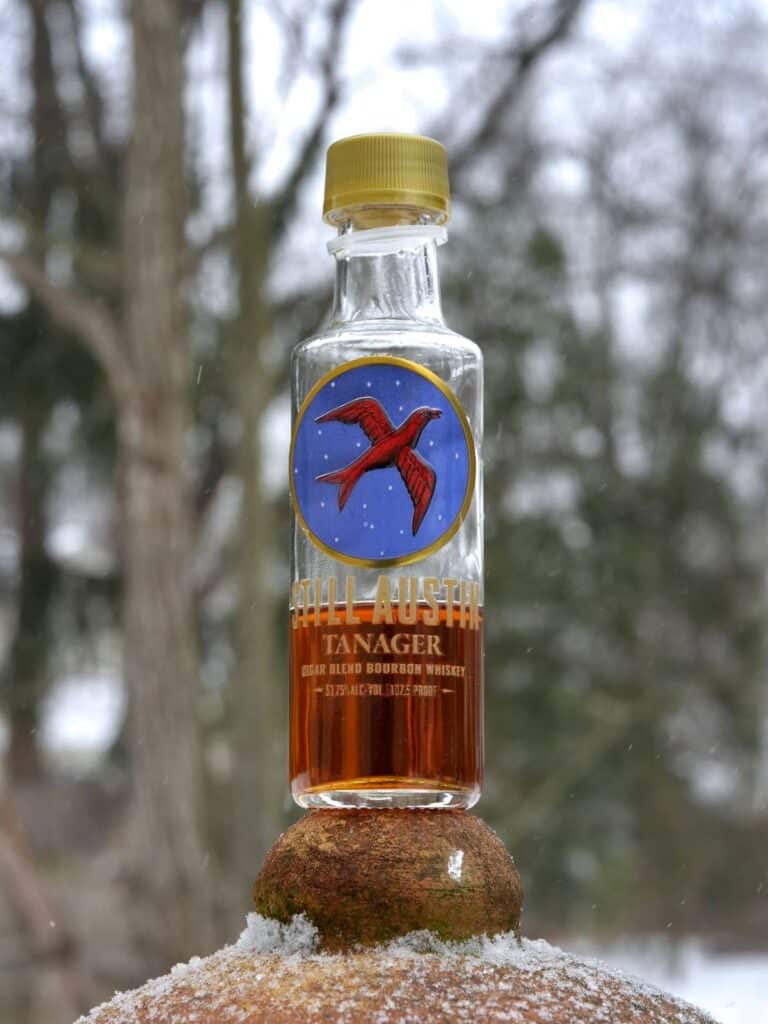 still austin tanager 2025 featured